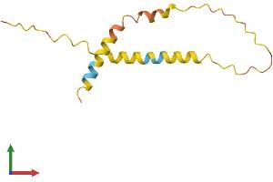 AlphaFold protein structure predicition of Human Recombinant RFPL3S Protein, UniprotID P0C7P2