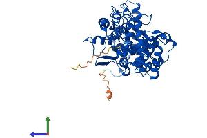 AlphaFold protein structure predicition of Human Recombinant FNTB Protein, UniprotID P49356