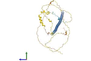 Protein Structure (PS) image for Activating Transcription Factor 4 (Tax-Responsive Enhancer Element B67) (ATF4) (AA 1-351) protein (His tag) (ABIN7552516)