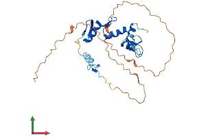 Protein Structure (PS) image for Snail Family Zinc Finger 2 (SNAI2) (AA 1-269) protein (His tag) (ABIN7563552)