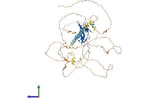 AlphaFold protein structure predicition of Mouse Recombinant Runx2 Protein, UniprotID Q08775 (RUNX2 Protein (AA 1-607) (His tag))