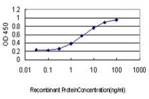 Detection limit for recombinant GST tagged GEM is approximately 0. (GEM 抗体  (AA 1-100))