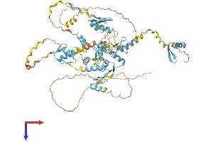 ZNF526 Protein (AA 1-670) (His tag)
