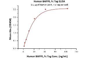 Immobilized Human BAFF, His Tag (ABIN4949073,ABIN4949074) at 5 μg/mL (100 μL/well) can bind Human BAFFR, Fc Tag (ABIN5526588,ABIN5526589) with a linear range of 2-31 ng/mL (QC tested). (TNFRSF13C Protein (AA 7-71) (Fc Tag))