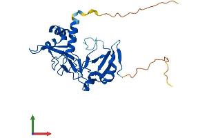 Protein Structure (PS) image for tRNA Phosphotransferase 1 (TRPT1) (AA 1-253) protein (His tag) (ABIN7544868)