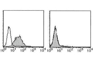 Flow Cytometry (FACS) image for anti-CD274 (PD-L1) antibody (Biotin) (ABIN2853592) (PD-L1 抗体  (Biotin))