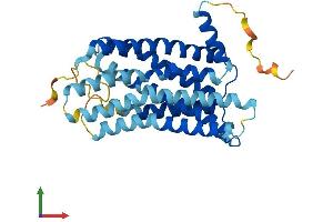 AlphaFold protein structure predicition of Human Recombinant GPR31 Protein, UniprotID O00270 (GPR31 Protein (AA 1-319) (His tag))