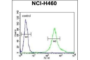 LR4 Antibody (C-term) (ABIN651164 and ABIN2840106) flow cytometric analysis of NCI- cells (right histogram) compared to a negative control cell (left histogram). (LPPR4 抗体  (C-Term))