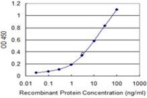 Detection limit for recombinant GST tagged MLLT6 is 0. (MLLT6 抗体  (AA 1-462))