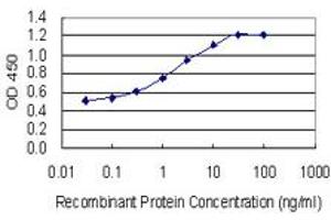 Detection limit for recombinant GST tagged ARPM1 is 0. (ARPM1 抗体  (AA 24-124))