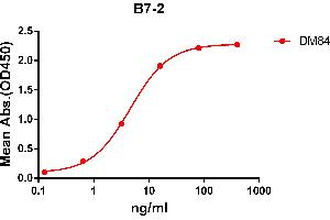 ELISA plate pre-coated by 2 μg/mL (100 μL/well) Human B7-2 protein, mFc-His tagged protein ((ABIN6961107, ABIN7042243 and ABIN7042244)) can bind Rabbit anti-B7-2 monoclonal antibody(clone: DM84) in a linear range of 1-100 ng/mL. (CD86 抗体  (AA 26-247))