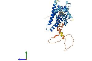 AlphaFold protein structure predicition of Human Recombinant NR2E1 Protein, UniprotID Q9Y466