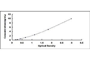 Typical standard curve (TNFRSF13C ELISA 试剂盒)