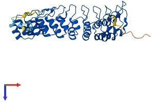 AlphaFold protein structure predicition of Human Recombinant ANKRD16 Protein, UniprotID Q6P6B7