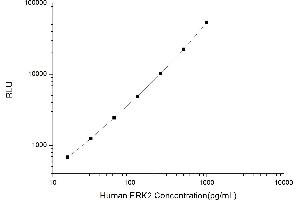 Typical standard curve (ERK2 CLIA Kit)