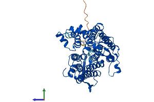 AlphaFold protein structure predicition of Mouse Recombinant Dhcr7 Protein, UniprotID O88455
