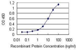 Detection limit for recombinant GST tagged FZD4 is 0. (FZD4 抗体  (AA 107-206))