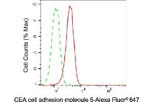 Flow cytometric analysis of CEA cell adhesion molecule 5 expression in A549 cells using CEA cell adhesion molecule 5 antibody (ABIN7797875), 1:1,000). (CEACAM5 抗体)