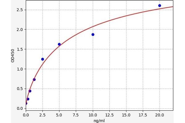 Abcg3 ELISA 试剂盒