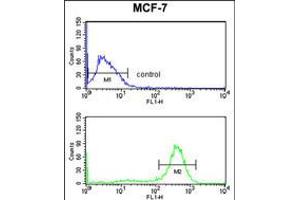 Flow cytometry analysis of MCF-7 cells (bottom histogram) compared to a negative control cell (top histogram). (CHPF 抗体  (AA 327-354))