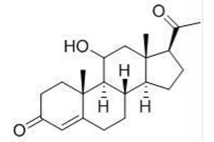 Image no. 2 for 11-Hydroxyprogesterone peptide (BSA) (ABIN5665929) (11-Hydroxyprogesterone peptide (BSA))