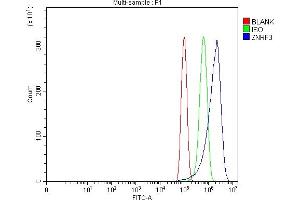 Flow Cytometry analysis of PC-3 cells using anti-ZNRF3 antibody (ABIN7602004). (ZNRF3 抗体  (AA 54-913))