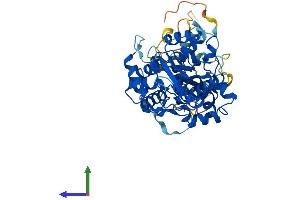 Protein Structure (PS) image for Nuclear Prelamin A Recognition Factor (NARF) (AA 1-462) protein (His tag) (ABIN7560758)