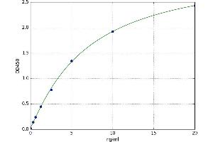 Glutathione Reductase (GSR) ELISA Kit