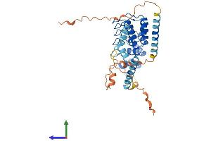 AlphaFold protein structure predicition of Human Recombinant ANKRD2 Protein, UniprotID Q9GZV1