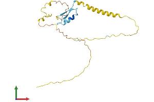 Protein Structure (PS) image for Ripply1 Homolog (RIPPLY1) (AA 1-201) protein (His tag) (ABIN7557014)