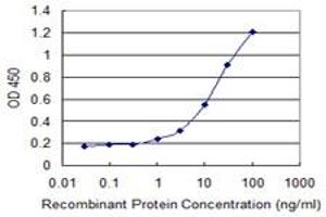 Detection limit for recombinant GST tagged EFEMP2 is 0. (FBLN4 抗体  (AA 26-443))