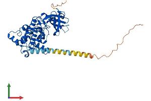 Protein Structure (PS) image for Death-Associated Protein Kinase 2 (DAPK2) (AA 1-370) protein (His tag) (ABIN7564742)