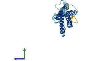 Protein Structure (PS) image for MARVEL Domain Containing 1 (MARVELD1) (AA 1-173) protein (His tag) (ABIN7549230)