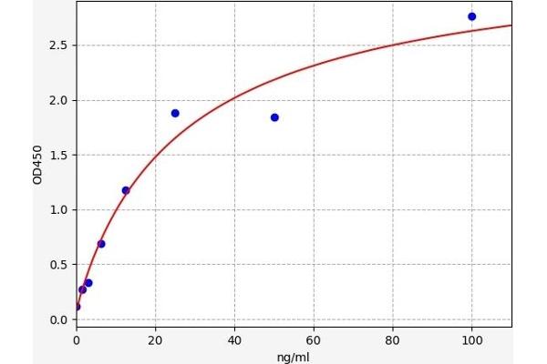 Hepcidin 25 ELISA 试剂盒