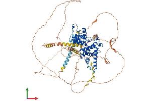Protein Structure (PS) image for Cyclin T1 (CCNT1) (AA 1-726) protein (His tag) (ABIN7552985)