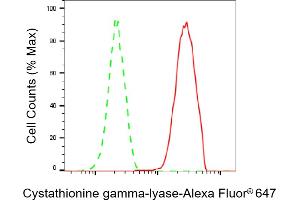 Flow cytometric analysis of Cystathionine gamma-lyase expression in HAP-1 cells using Cystathionine gamma-lyase antibody (ABIN7798234), 1:2,000).