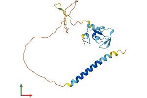 Protein Structure (PS) image for Ring Finger Protein 152 (RNF152) (AA 1-203) protein (His tag) (ABIN7551517)