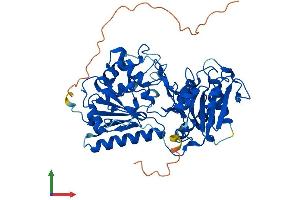 Protein Structure (PS) image for beta 1,3-Galactosyltransferase-Like (B3GALTL) (AA 1-489) protein (His tag) (ABIN7558657)