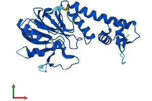 AlphaFold protein structure predicition of Human Recombinant LACTB2 Protein, UniprotID Q53H82