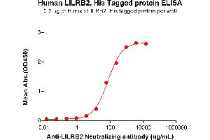 Leukocyte Immunoglobulin-Like Receptor, Subfamily B (With TM and ITIM Domains), Member 2 (LILRB2) (AA 22-461) protein (His tag)