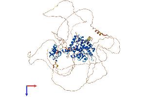 Progesterone Receptor Protein (PGR) (AA 1-933) (His tag)