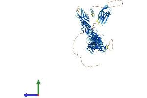 Protein Structure (PS) image for Myosin Binding Protein C, Slow Type (MYBPC1) (AA 1-1141) protein (His tag) (ABIN7554650)