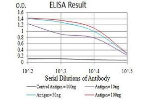 Black line: Control Antigen (100 ng),Purple line: Antigen (10 ng), Blue line: Antigen (50 ng), Red line:Antigen (100 ng) (Aurora A 抗体  (AA 268-404))
