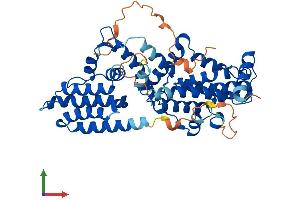 Protein Structure (PS) image for RasGEF Domain Family, Member 1C (RASGEF1C) (AA 1-466) protein (His tag) (ABIN7551347)