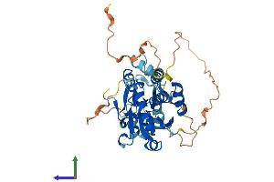Protein Structure (PS) image for Dual Specificity Phosphatase 9 (DUSP9) (AA 1-384) protein (His tag) (ABIN7547280)