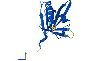 Protein Structure (PS) image for TEN1 Telomerase Capping Complex Subunit (TEN1) (AA 1-123) protein (His tag) (ABIN7555728)