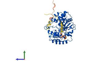 Protein Structure (PS) image for Sulfotransferase Family, Cytosolic, 2B, Member 1 (SULT2B1) (AA 1-338) protein (His tag) (ABIN7562312)