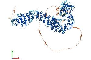 Protein Structure (PS) image for PDS5, Regulator of Cohesion Maintenance, Homolog A (PDS5A) (AA 1-1332) protein (His tag) (ABIN7564032)
