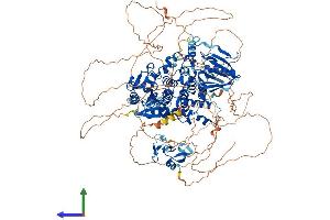 AlphaFold protein structure predicition of Human Recombinant MTMR3 Protein, UniprotID Q13615