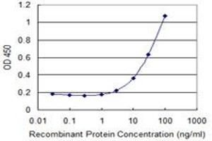 Detection limit for recombinant GST tagged ZNF266 is 1 ng/ml as a capture antibody. (ZNF266 抗体  (AA 274-346))